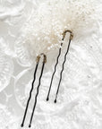 Preserved Gypsophila Babies Breath Hair Pins - Papiro Gold